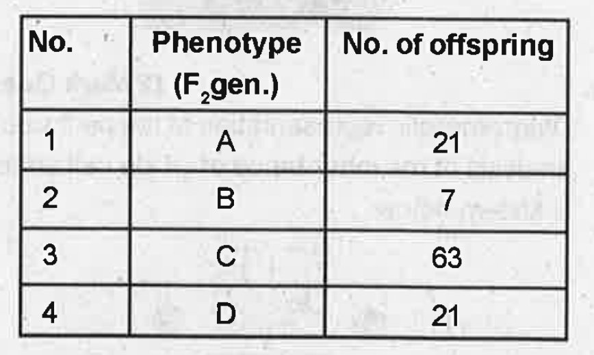The following table shows the F2 generation of a ihybrid cross. Identify the 'Phenotype' with homozygous recessive genotype.   Find A:B:C:D.