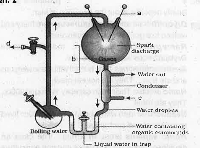 Diagrammatic representation of Miller's experiment is shown.   Sequence of substances appearing during the origin of life would have been.