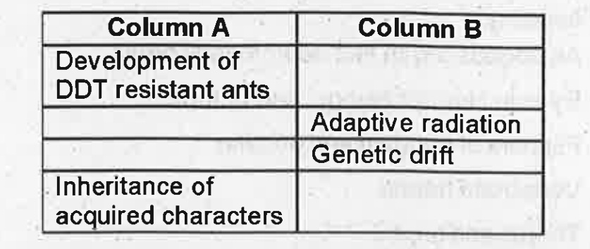 Fill the column A and B using the items given below:   (Lamarckism, Evolution of anthropogenic action, Geneflow by chance, varieties of marsupials in Australia, De Vries)   .