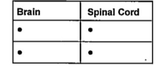 Suitably arrange the information under the given headings.   • Evokes sensations.   • Co-ordinates the repeated movements during walking and running.   • Impluses from the different parts of the body are transmitted to and form the brain.   • Co-ordinates muscular activities and maintains equilibrium of the body.