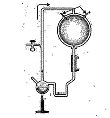 . Identify the evolutionary theory which is substantiated by the given experimental set-up.