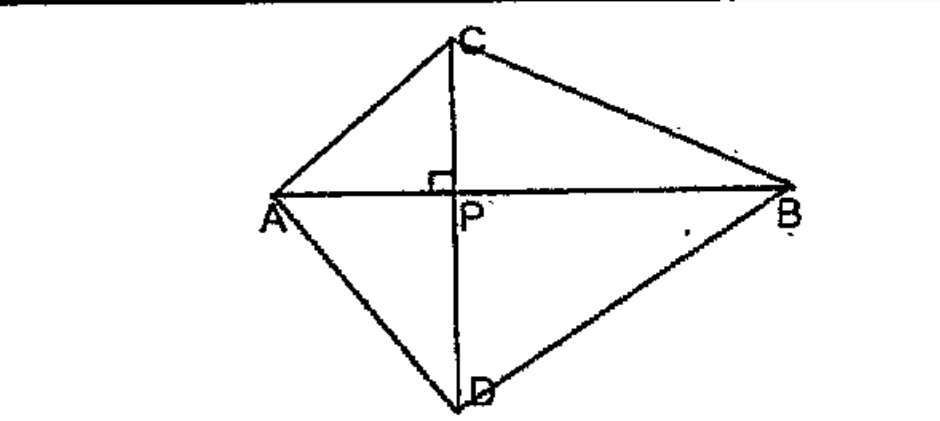 In the figure, squareP=90^o. Sides of triangle APC are extended to B and D.    If a circle is drawn with AC as its diameter, where will be the position of P with respect to that circle?   .