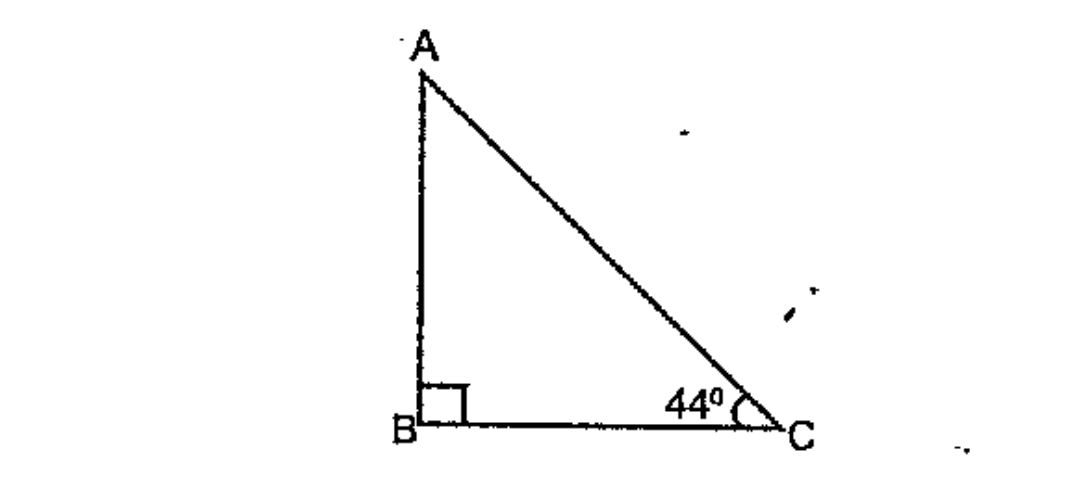 In the figure angleB=90^o,angleC=44^o  Which among the following is tan 44^o?  ((AB)/(BC),(AB)/(AC),(BC)/(AB),(BC)/(AC)),   .