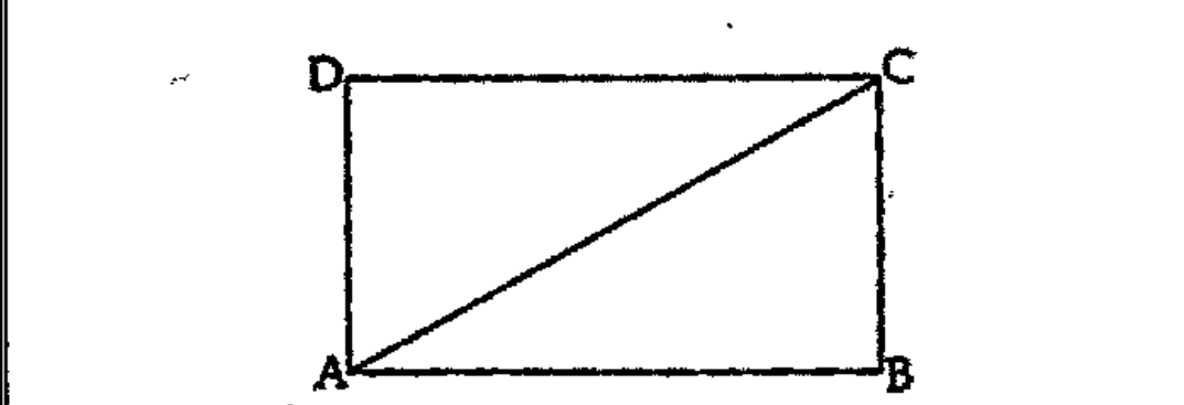 Perimeter of the rectangle in the figure is 36 centimetres. AC=sqrt164 centimetres. Find the length of AB.   .