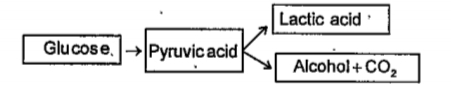 Analyse the process and answer the questions.   What is the common term for the process?