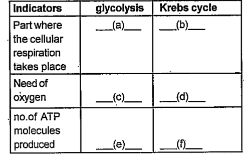 Complete the table of cellular respiration