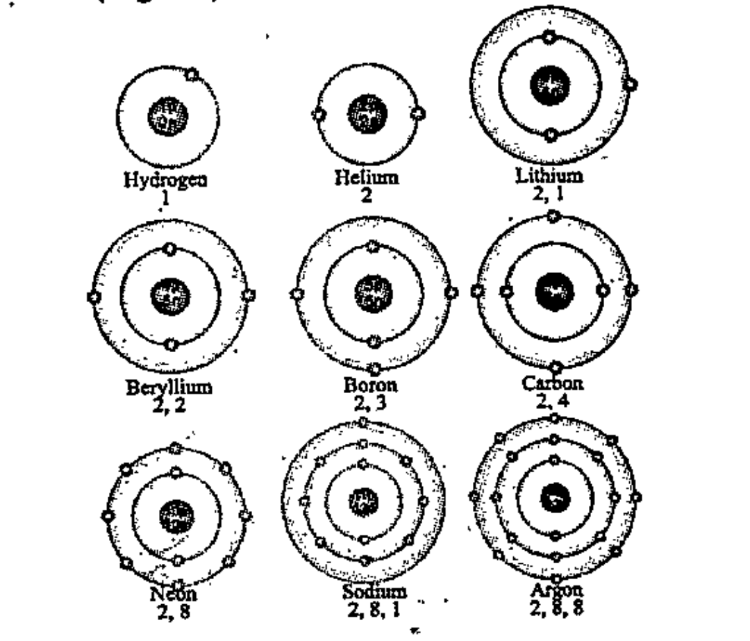 Bohr model of atoms of certain elements are given below , asess their electronic configuration.