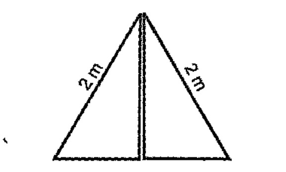 The picture shows an equilateral triangle cut into halves by a line through a vertex.   What is the perimeter of a part?   .