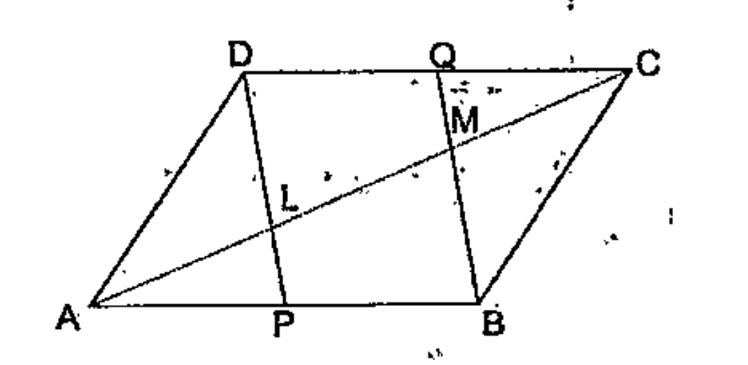 In the picture below, two vertices of a parallelogram are joined to the mid points of two sides.   Prove that these lines divides the diagonal in the picture into three equal parts. .