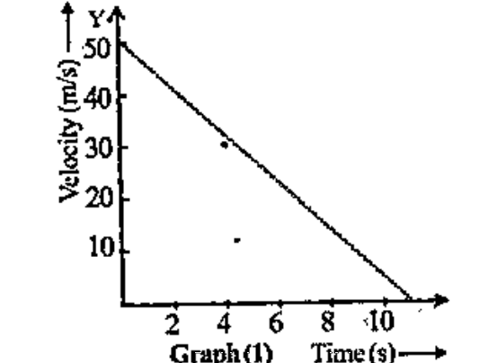Analyse the graphs given below.   Which graph indicates the motion of freely falling stone?