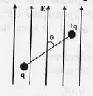 An electric dipole is placed in a uniform electric field of Intensity E as shown in the figure.    What is the net force on the system?