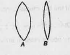 Two convex lense are given in the figure A and figure B.Which has more power