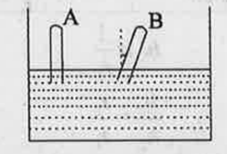 Two thin evacuated (one end closed) glass take A and B are carefully immersed in a beaker containing Mercury such a way that there is no chance to get air into the tubes. A is stand vertically and B is making an angle theta with the vertical.Is any height difference of Mercury levels in tube A and B? Justify your answer.