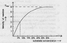 Observe the graph  Why is 'V max not exceeded by any further rise in the substrate concentration?