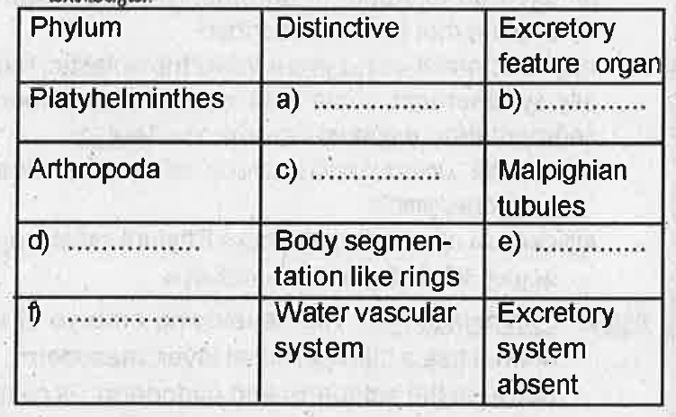 Complete the columns using the appropriate phylum, distinctive features and excretory organs.
