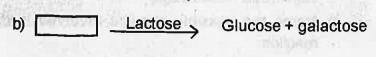 The breakdown of biomacromolecules in the duode num is mentioned below. Fill the blank boxes with correct terms.