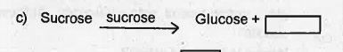 The breakdown of biomacromolecules in the duode num is mentioned below. Fill the blank boxes with correct terms.