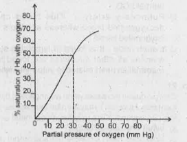 Observe the Graph.  .Mention the factors favourable for the formation of oxyhaemoglobin in alveoli.