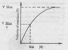 Based on the graph given below, explain the effect of concentration of substrate on enzyme activity.