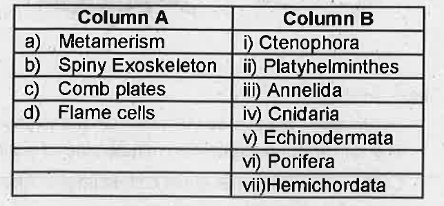 Assign the following features of animals given in Column A to the most  appropriate animal phylum given in Column B.