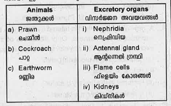 Prepare two matching pairs from the given list of animals and excretory organs.
