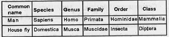 A student placed man and house fly in the following taxonomic categories. Some of them are wrongly placed. Identify and correct them.