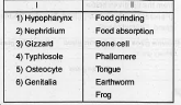 Match the following.