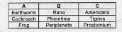 Match the related items from B and C with Column A.