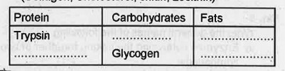 Observe the table and fill the blanks from the brackets (Collagen, Cholesterol, chitin, Lecithin)