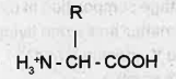 Chemical structure of an Amino acid is given. What happens to the Zwitter lon if it is placed acidic medium?