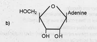 The given structure showing the molecule give ready energy for biological activities. Identify the structure.
