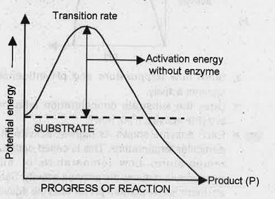 Progress of a chemical reaction and potential energy changes associated with it is plotted as curve.    What happens to the activation energy of the substrate, when enzyme is added to the reaction system?