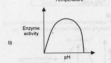 Observe the given graph a and b.  Does the substrate concentration influence enzyme activity. If so, how?