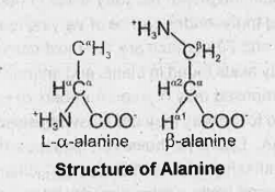 Draw the structure of the amino acid, alanine.