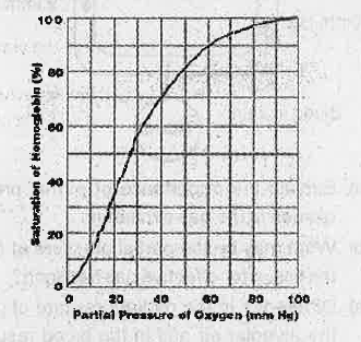 Study the graph and answer the following questions.  Find out the pressure at which Haemoglobin is 50% saturated with O2?