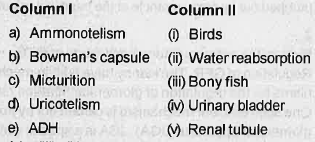 Match the ltems of column I with those of colurn II