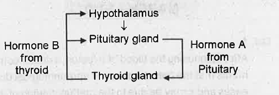 The diagram shows the interaction between the hypothalamus, pituitary and thyroid glands. Arrow indicates the probable pathway of direct influence. Answer the following questions.  a) Name the hormones A and B.  b) State the effect of hormone A on the thyroid. c) State the effect of hormone B on the hypothalamus. d) Describe the control on pituitary by the hypothalamus in this situation.
