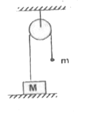 A heavy mass M resting on the ground is connected to a lighter mass m through a light inextensible string passing over an ideal pulley. The string connected to mass M is loose. Let lighter mass m be allowed to fall freely through a height h such that the string becomes taut. If t is the time from this instant onward when the heavier mass again makes contact with the ground and Delta E is change in kinetic energy then
