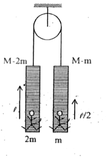 Two ladders are hanging from ands of a light rope passing over a light and smooth pulley. A monkey of mass 2m hangs near the bottom of one ladder whose mass is M-2m. Another monkey of mass m hangs near the bottom of the other ladder whose mass is M-m. The monkey of mass 2m moves up a distance l with respect to the ladder. The monkey of mass m moves up a distance l/2 with respect to the ladder. The displacement of centre of mass of the system is (kml)/(4M). Find the value of k.
