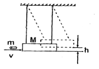 A frequently used device to measure the speed of bullets is the ballistic pendulum. It comprises of a heavy block of wood of mass M suspended by two long chords. A bullet of mass m is fired into the block horizontally. The block, with the bullet embedded in it, swings upwards. The centre of mass of the combination rises through a vertical distance h before coming to rest momentarily. In a particular experiment, a bullet of mass 40 gm is fired into a wooden block of mass 10 kg. The block is observed to rise by a height of 20.0 cm.         Initial speed of the bullet is