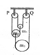 Shown in the figure is  a system of three bodies of mass m(1), m(2) & m(3) connected by a single inextensible light string. If all surfaces in contact are smooth & the pulleys P & Q are light, find the tension in the string.