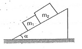 Two blocks of masses m(1) and m(2) are kept touching each other on a rough fixed inclined plane of inclination  alpha. Coefficients of kinetic friction between the inclined plane and the block m(1) is k(1)  and between the inclined  plane and block m(2) is k(2). Find the force of  interaction between the blocks in the process of motion.