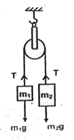 Consider the case of two bodies of masses m(1) and m(2) which are connected by light inextensible string passing over a light smooth pulley as shown in the figure. The expression for acceleration of the system and tension of the string are expressed below under different situations:        (i) when m(1) gt m(2). In this case   a=((m(1)-m(2))/(m(1)+m(2)))g and T=((2m(1)m(2))/(m(1)+m(2)))g   (ii) when m(2) gt m(1). In this case    a=((m(2)-m(1))/(m(1)+m(2)))g and T=((2m(1)m(2))/(m(1)+m(2)))g   (iii) When m(1)=m(2)=m. In this case a = 0, T = mg  If the pulley is pulled upward with acceleration equal to the acceleration due to gravity, what will be the tension in the string?
