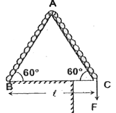 A fixed wedge ABC is in the shape of an equilateral triangle of side l. Initially, a chain of length 2l and mass  m rests on the wedge as shown. The chain is slowly being pulled down by the application of a force F as shown. Work done by gravity till the time, the chain leaves thw wedge will be: