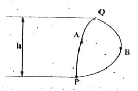 A particle is taken from point P to point Q via the path PAQ and then placed back to point P via the path QBP. Find the work done by gravity on the body over this closed path. Vertical separation between P and Q is h as shown.