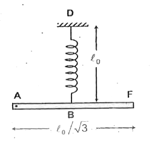 In the figure shown one end of a light spring of natural length l(0)=sqrt(5/8)m(~~0.8m) is fixed at point D and other end is attached  to the centre B of a uniform rod AF of length  l(0)//sqrt(3) and mass 10kg. The rod is free to rotate in a vertical  plane about a fixed horizontal axis passing through the end A of the rod. The rod is held at rest in horizontal  position and the spring  is in relaxed state. It is found that, when the rod is released to move it makes an angle of 60^(@) with the horizontal when it comes to rest for the first time. Find the    (a) the maximum elogation in the spring . (Approximately)    (b) the spring constant. (Approximately)