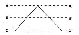 Three identical rods are joined together to form an equilateral triangle frame. Three axes AA', BB' and CC' lie in the plane of the frame as shown in the figure. Then the moment of inertia is least about the axis  whereas maximum about the axis .