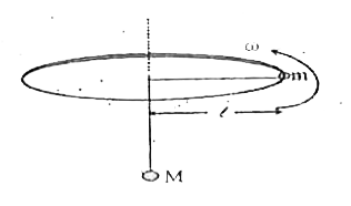 In the figure shown two particles m & M are interconnected by an inextensible and light string. M is in equilibrium due to revolution of particle m in horizontal plane as shown in the figure. Now M is pulled down slowly through a distance l/2. Find the change in angular speed of particle m.
