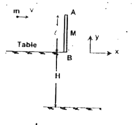 A uniform thin rod AB of mass M and length l stands at the edge of a frictionless table as shown in the figure. A particle of mass m = M/2 flying horizontally with a velocity v(0) strikes the rod at its top edge A and sticks to it. The rod is immediately driven off the table. Determine      (a) velocity of centre of mass of the system (rod + particle) just after collision between M and m.   (b) position of centre of mass of the system. (Take edge of table at origin).   (c) angular velocity of the system about centre of mass.   (d) the position of the centre of mass of the system when it rotates by 180^(@) (Take v(0) = pi m/s and l = 1 m)   (e) at t = 1.5 sec, rod hits the horizontal plane at depth H below the table. Find H and coordinate of edge B of the rod just before striking the ground. (take g = 10 m//s^(2))