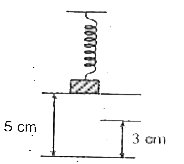 A block of mass 'm' is attached to a spring and is placed on a platform as shown in the figure, and the spring at this stage remains in a relaxed stage. When supporting platform is suddenly removed the mass begins to oscillate and moves down to a lowest position of 5 cm from its initial position. Then calculate the time taken by block to reach a height of 3 cm from its lowest position?